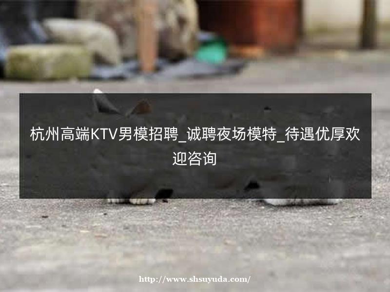 上海高端KTV男模招聘_诚聘夜场模特_待遇优厚欢迎咨询