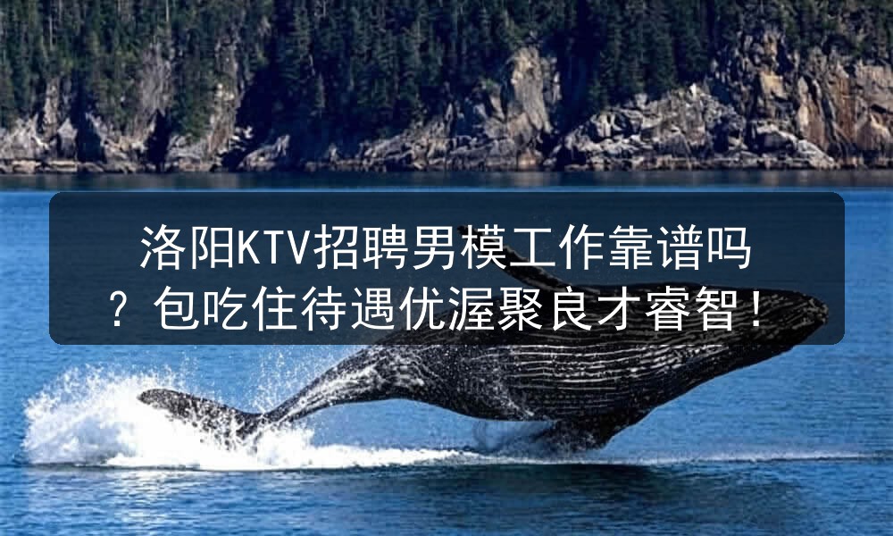 洛阳KTV招聘男模工作靠谱吗？包吃住待遇优渥聚良才睿智！