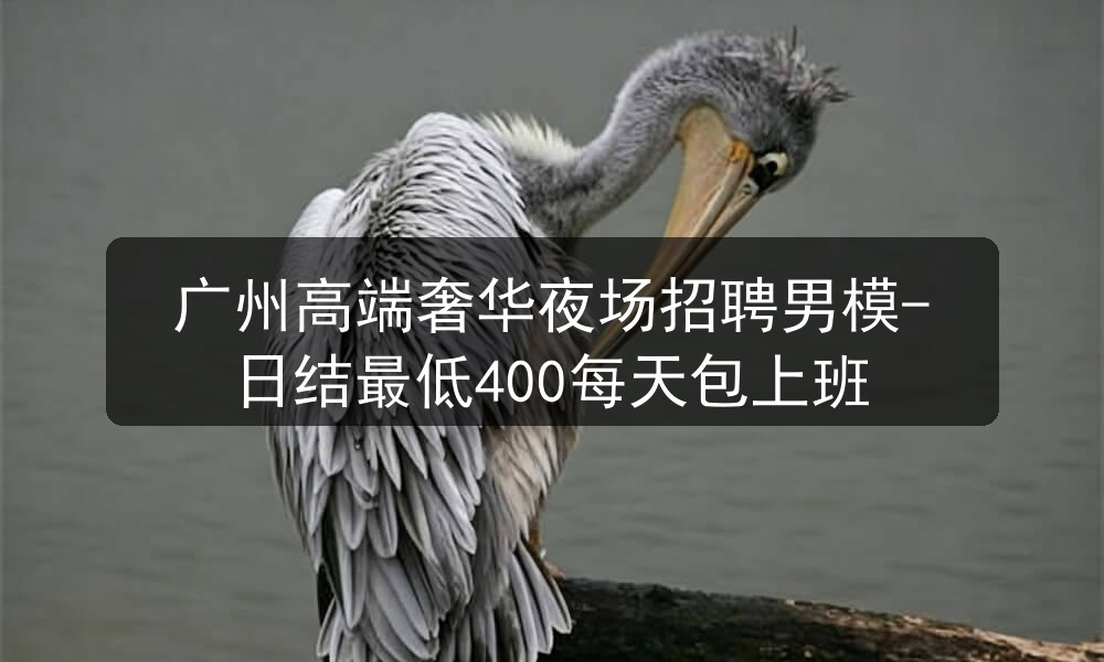 广州夜场招聘男模