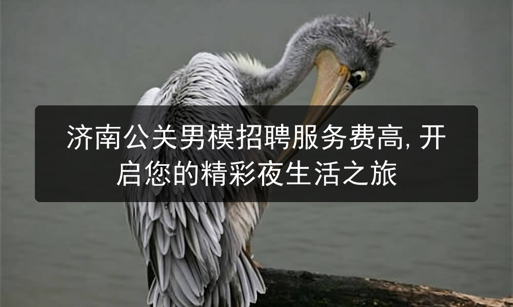 济南公关男模招聘服务费高,开启您的精彩夜生活之旅