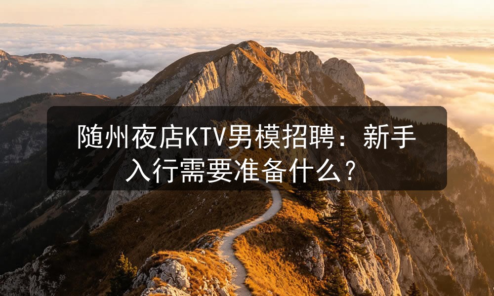 随州夜店KTV男模招聘：新手入行需要准备什么？